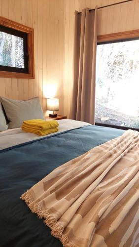 łóżko z kocem i oknem w obiekcie Tres Bosques w mieście Pucón