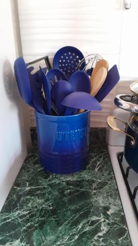 a blue bucket of utensils sitting on a counter at Bella Vita Casitas in Placencia Village