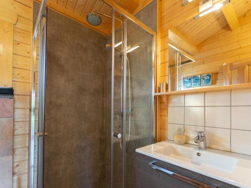 ein Bad mit einer Dusche und einem Waschbecken in der Unterkunft Onder de oude Eik in Lottum