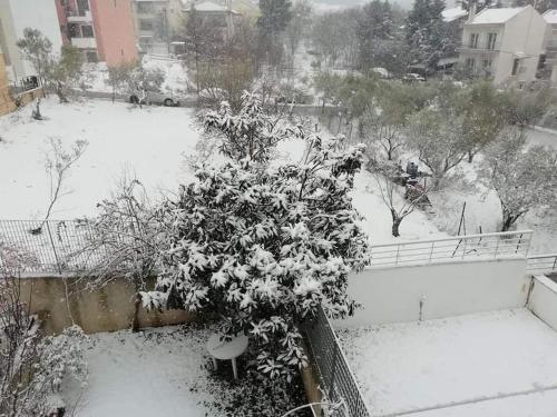 a view of a snow covered yard with a tree at Spacious at Fully Equipped 2BR ,near airport Skg 7km,Thessaloniki,Chalkidiki in Kardiá