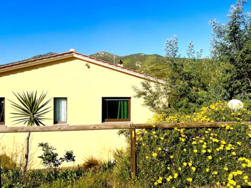 a house with a field of yellow flowers in front of it at iL VICOLO NEL VERDE in Rio Marina