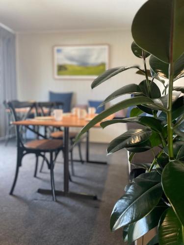 a table and chairs and a plant in a room at The Black Bull Motel in Traralgon