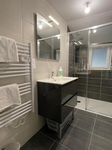 a bathroom with a sink and a shower at Gîte de 2 chambres - Ancenis A11 - Logis du Château Rouge in Mésanger