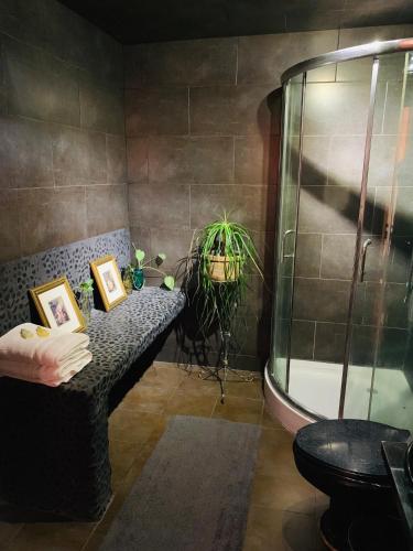 a bathroom with a shower and a bench with a plant at Casa Bonita in Guadalajara