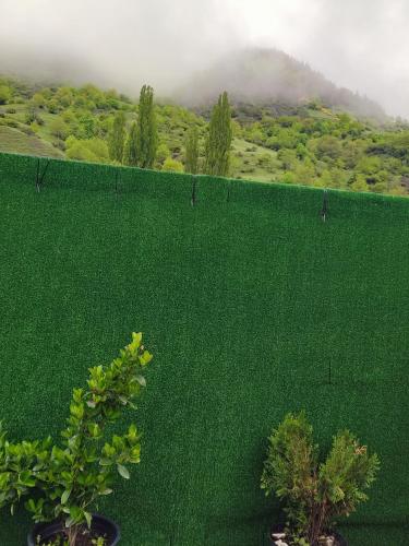 a green wall with two potted plants and a mountain at Wooden House Nica in Mestia