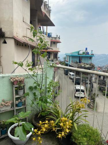 a balcony with flowers and plants on a building at Maple Homestay in Kohīma