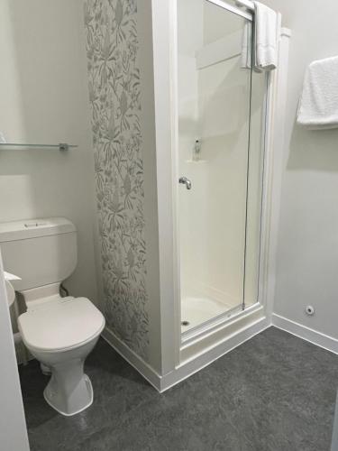 a bathroom with a toilet and a shower at Bavaria Boutique Hotel in Auckland