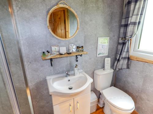 a bathroom with a sink and a toilet and a mirror at Moel Y Parc in Denbigh