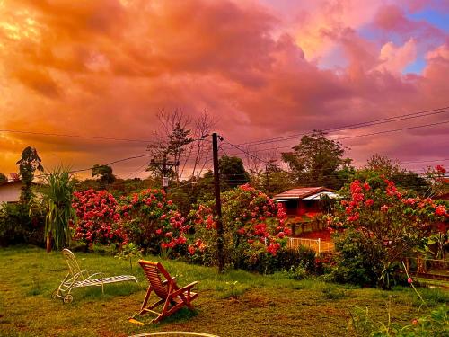 a group of chairs sitting in a yard with flowers at Hotel Tierra de Volcanes in San Ramón
