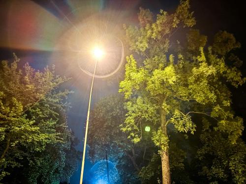 a street light in front of trees at night at Polpo Apartments B&B in Łódź