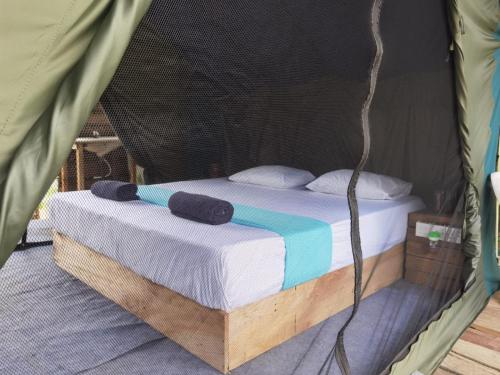 a bed in a green tent with two pillows at Basecamp - Yala in Yala