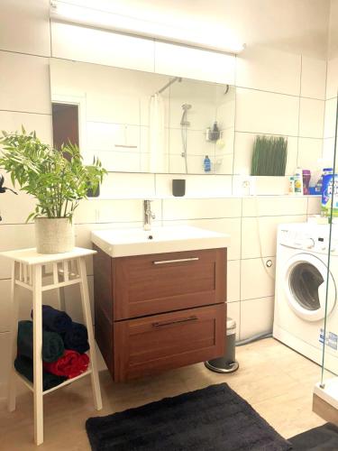 a bathroom with a sink and a washing machine at University Messe Apartment in Graz