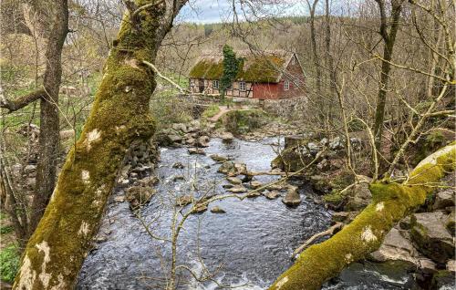 a river with a house in the middle of a forest at Three-Bedroom Holiday Home Brösarp 04 in Brösarp