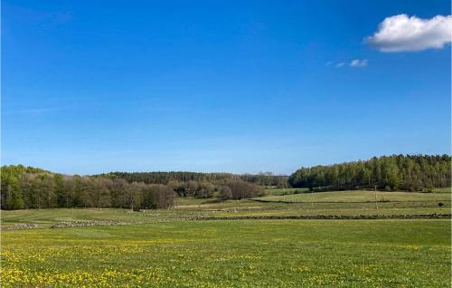 a field of green grass with yellow flowers and trees at Three-Bedroom Holiday Home Brösarp 04 in Brösarp
