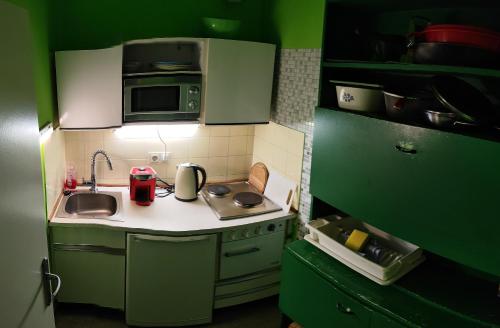 una pequeña cocina con armarios verdes y fregadero en Bad Gastein Holiday Apartments, en Bad Gastein