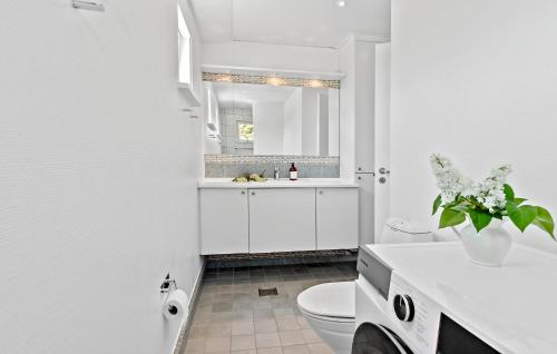 uma casa de banho branca com um WC e um lavatório em Beautiful Home In Grsted With Kitchen em Græsted
