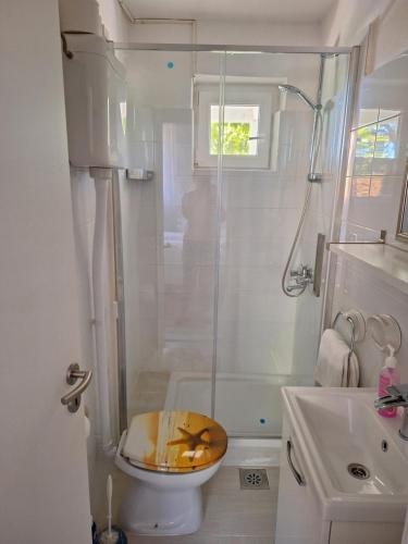 a bathroom with a shower and a toilet and a sink at Apartment Srsen in Kučište