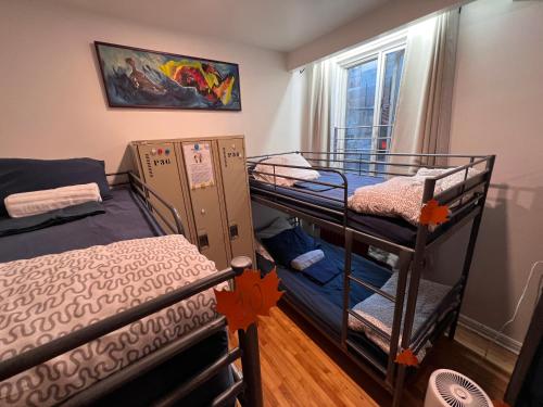 Cette chambre comprend 2 lits superposés et une fenêtre. dans l'établissement Auberge PVT Hostel, à Montréal