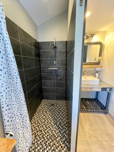 a bathroom with a shower and a sink at Pigeonnier des Banons in Puimoisson