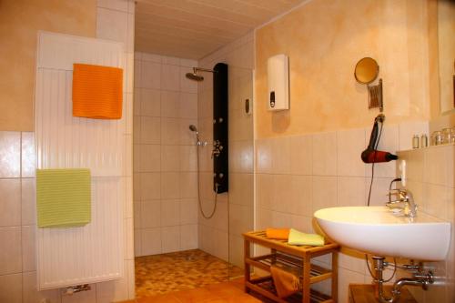 ein Badezimmer mit Waschbecken und Dusche in der Unterkunft Wetekams Ferienwohnung W2 in Diemelstadt 