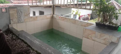 una piscina de agua verde en un edificio con en Javalindra Homestay Tour and Travel, en Banyuwangi