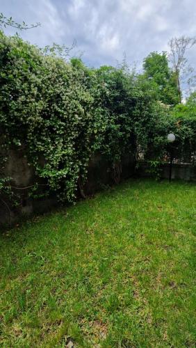 un jardín con césped verde y una pared con arbustos en Da Tiffany, en Giarre