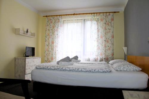Cama o camas de una habitación en Star Hotels Benecko