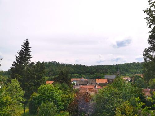 a town in the middle of a forest at DAS Ferienhaus Waldblick in Güntersberge