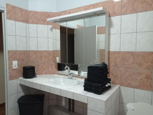 uma casa de banho com um lavatório e um espelho em GITE LA NOTARIALE 