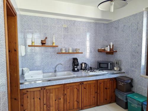 Kuchyň nebo kuchyňský kout v ubytování Villa 2M a 50 metri dal mare