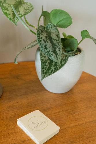 a plant in a white vase sitting on a table at Callisto Seaside Homes & Suites in Marathopolis
