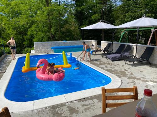 um grupo de pessoas brincando em uma piscina em 4TREES Holiday House em Slunj