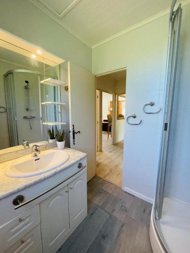 une salle de bain avec un lavabo et une douche dans l'établissement Maison Papillon, à Turenne