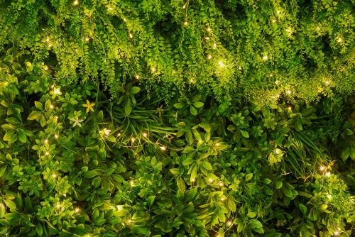 a wall filled with lots of green plants with lights at Hotel Spa Les Saules in Favières