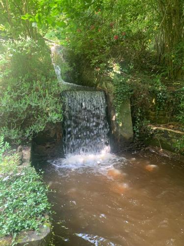 a small waterfall in the middle of a pond at Chambres d hôtes du Moulin de Boiscorde in Rémalard en Perche