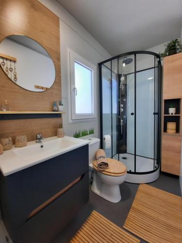 a bathroom with a shower and a sink and a toilet at Mobile home Sirena Drage in Drage