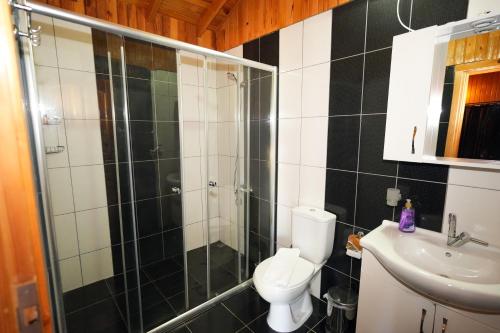 a bathroom with a toilet and a shower and a sink at Cirali Zakkum Bungalow in Cıralı