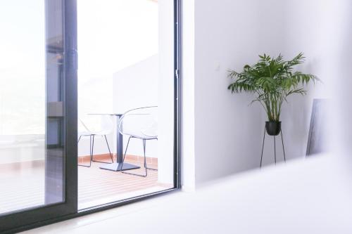 a plant in a pot next to a window at Anassa Suites in Himare