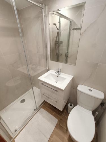 a bathroom with a shower and a toilet and a sink at Domki Letniskowe Nika in Mikołajki