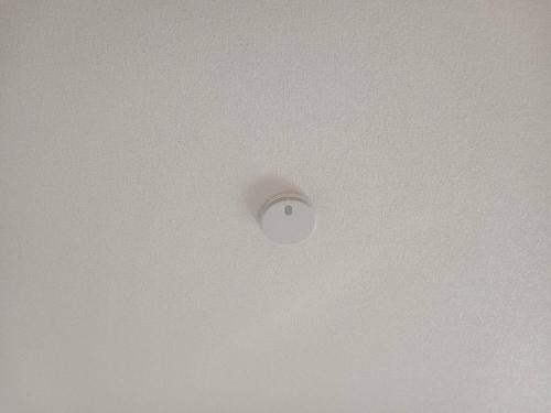 a ceiling with a ceiling light in a room at sakurayuki in Otaru