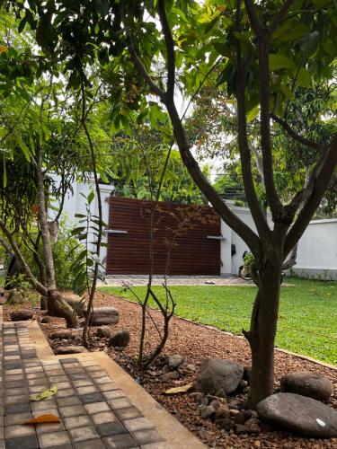 a garden with trees and rocks and a sidewalk at Livin Lush Luxury Retreat in Anuradhapura