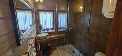 a bathroom with a shower and a sink and a mirror at Kaszuby wczasy u Danusi sauna i bania in Lipusz