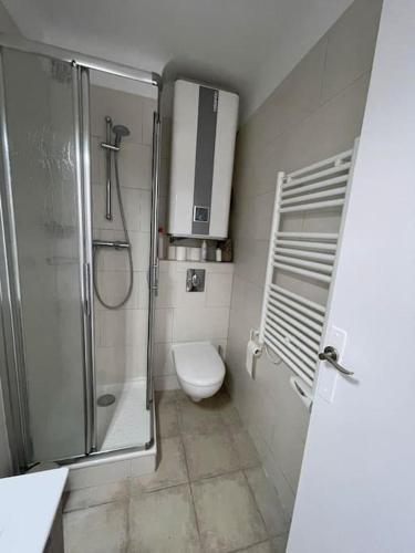 une salle de bain avec douche et toilettes dans l'établissement studio climatisé les pieds dans l'eau, à Six-Fours-les-Plages