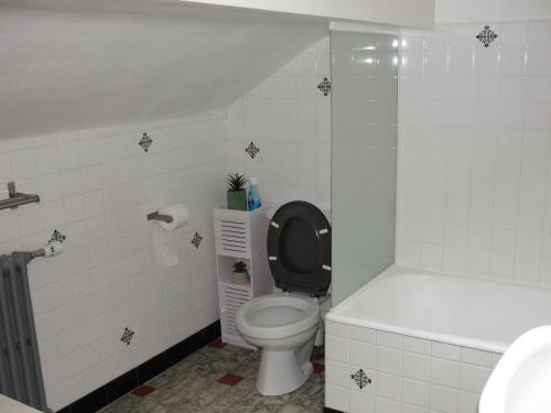 een badkamer met toilet en ligbad bij appartement thones in Thônes