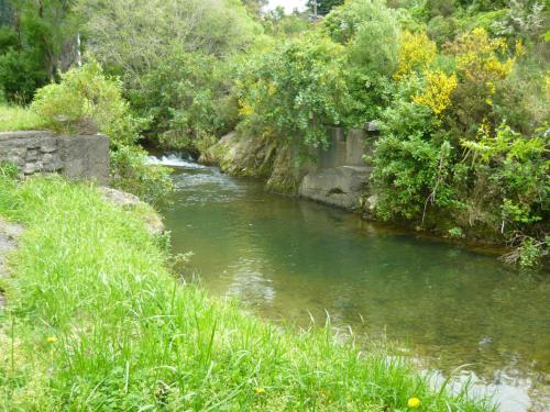 une rivière avec de l'eau verte, des arbres et de l'herbe dans l'établissement Alexanders Holiday Park, à Picton