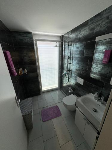 ein Bad mit einer Dusche, einem WC und einem Waschbecken in der Unterkunft Private Studio in Wallisellen