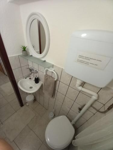 y baño con aseo, lavabo y espejo. en Apartman Ris Gorski Kotar Crni Lug en Delnice