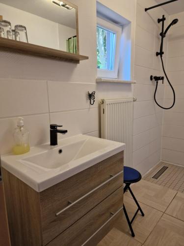 a bathroom with a white sink and a shower at Ferienhof am Käbelicksee in Kratzeburg