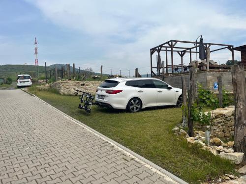 a white car parked on the side of a road at Stará Vinice Velké Žernoseky 93 in Žernoseky