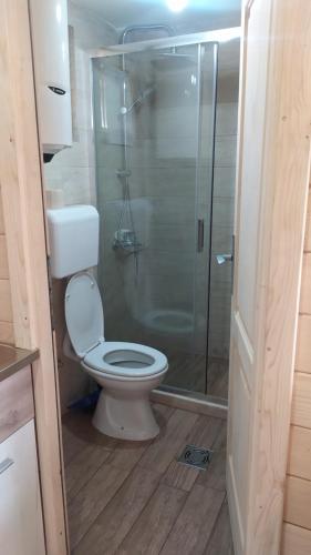 a bathroom with a toilet and a glass shower at Martin in Nikšić